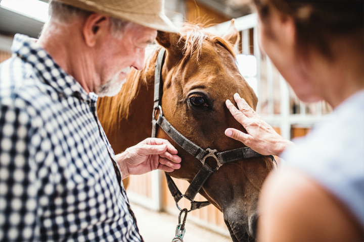 Equine Therapy Holds Benefits for Seniors – Heritage Ministries